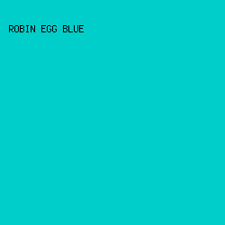 00CECB - Robin Egg Blue color image preview