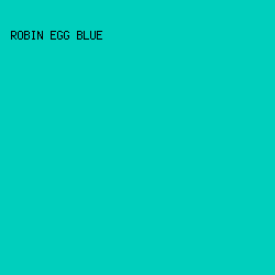 00CFBD - Robin Egg Blue color image preview