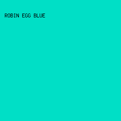 00DFC6 - Robin Egg Blue color image preview