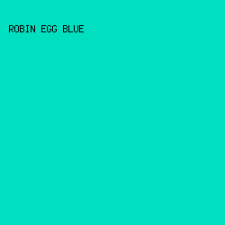 00E0C1 - Robin Egg Blue color image preview
