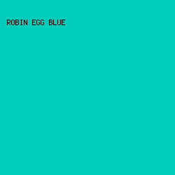 00ccbb - Robin Egg Blue color image preview