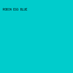 00cccc - Robin Egg Blue color image preview