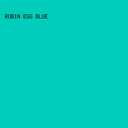 00cdbb - Robin Egg Blue color image preview