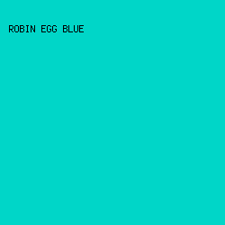00d6c8 - Robin Egg Blue color image preview