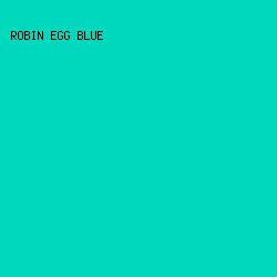 00d8be - Robin Egg Blue color image preview
