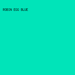 00e4b9 - Robin Egg Blue color image preview