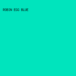 00e4bd - Robin Egg Blue color image preview