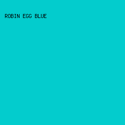 03CCCD - Robin Egg Blue color image preview