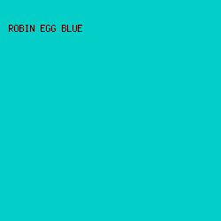 03CEC8 - Robin Egg Blue color image preview