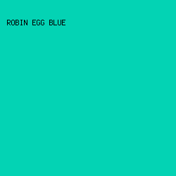 03d3b4 - Robin Egg Blue color image preview