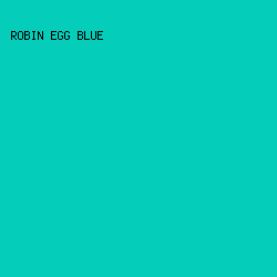04CEB9 - Robin Egg Blue color image preview