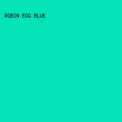 04e2b7 - Robin Egg Blue color image preview
