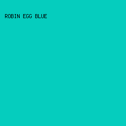 05CDBE - Robin Egg Blue color image preview