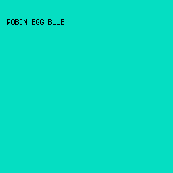 05DEC2 - Robin Egg Blue color image preview