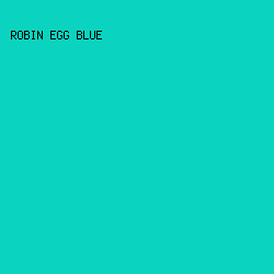 0AD4BF - Robin Egg Blue color image preview