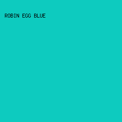 0DCBBF - Robin Egg Blue color image preview