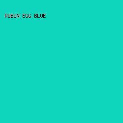 0ED6BD - Robin Egg Blue color image preview
