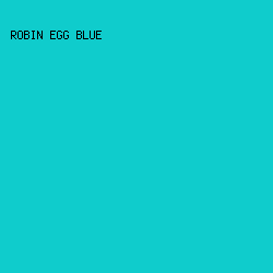0FCCCC - Robin Egg Blue color image preview