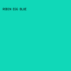 10D8B8 - Robin Egg Blue color image preview
