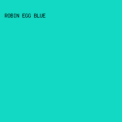 12D9C3 - Robin Egg Blue color image preview