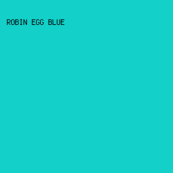 13D0C9 - Robin Egg Blue color image preview