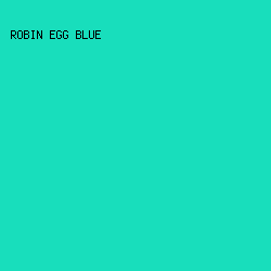 18DEBC - Robin Egg Blue color image preview