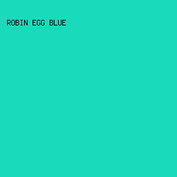 19DABB - Robin Egg Blue color image preview