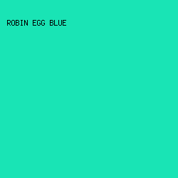 19E4B5 - Robin Egg Blue color image preview
