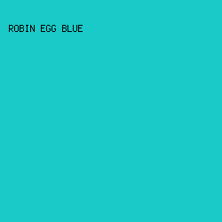 19cac8 - Robin Egg Blue color image preview