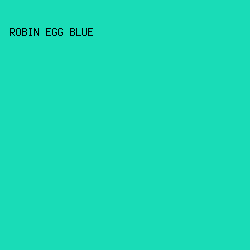 19dcb7 - Robin Egg Blue color image preview
