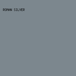 7C878E - Roman Silver color image preview