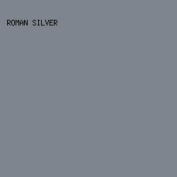 7F858E - Roman Silver color image preview