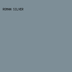 7d8e97 - Roman Silver color image preview
