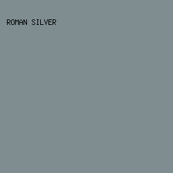7f8d91 - Roman Silver color image preview