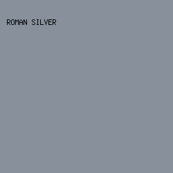 87909b - Roman Silver color image preview