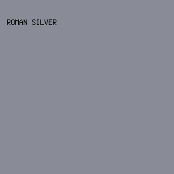 898C96 - Roman Silver color image preview