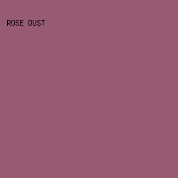995b74 - Rose Dust color image preview