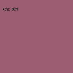 9B5D73 - Rose Dust color image preview