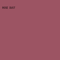 9C5463 - Rose Dust color image preview