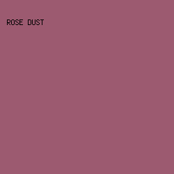 9C5A70 - Rose Dust color image preview