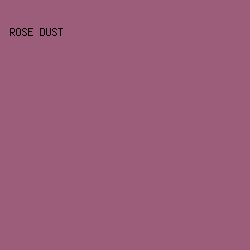 9C5D7A - Rose Dust color image preview