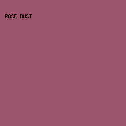 9c546d - Rose Dust color image preview