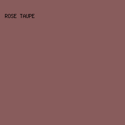 885c5c - Rose Taupe color image preview