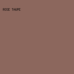 8C675D - Rose Taupe color image preview
