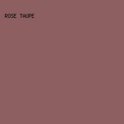 8D5F61 - Rose Taupe color image preview