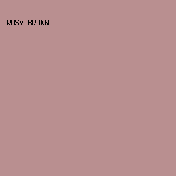 B98F90 - Rosy Brown color image preview