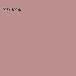 BC8F8F - Rosy Brown color image preview