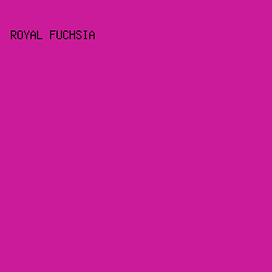 CC1B9A - Royal Fuchsia color image preview