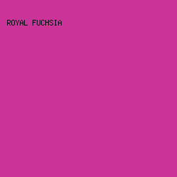 CC3399 - Royal Fuchsia color image preview
