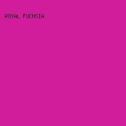 d11d9b - Royal Fuchsia color image preview